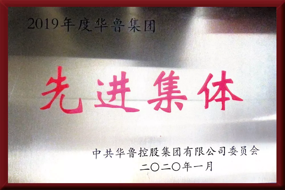 2019年度华鲁集团先进单位