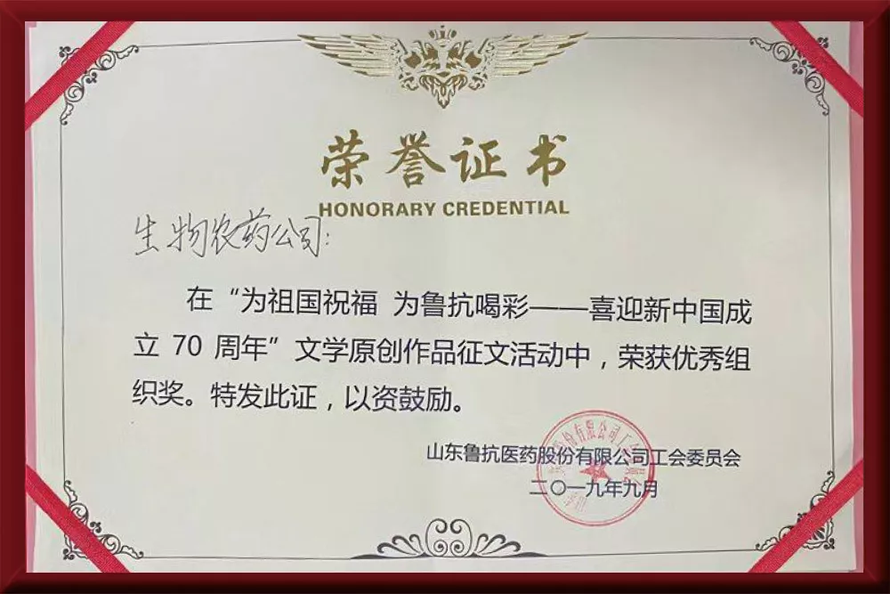 2019年优秀组织奖