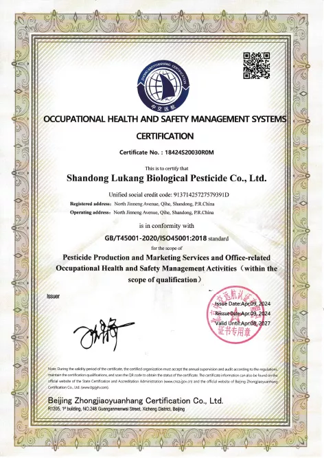 Occupational Health and Safety System Certificate