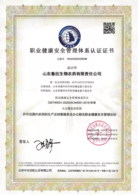 职业健康安全体系证书-中文