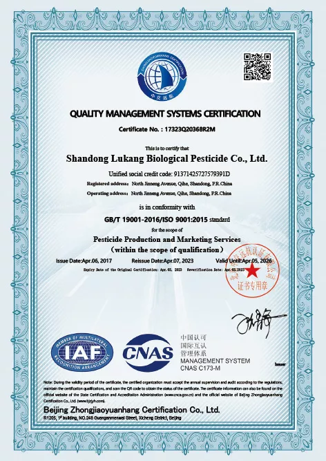 quality management system certification