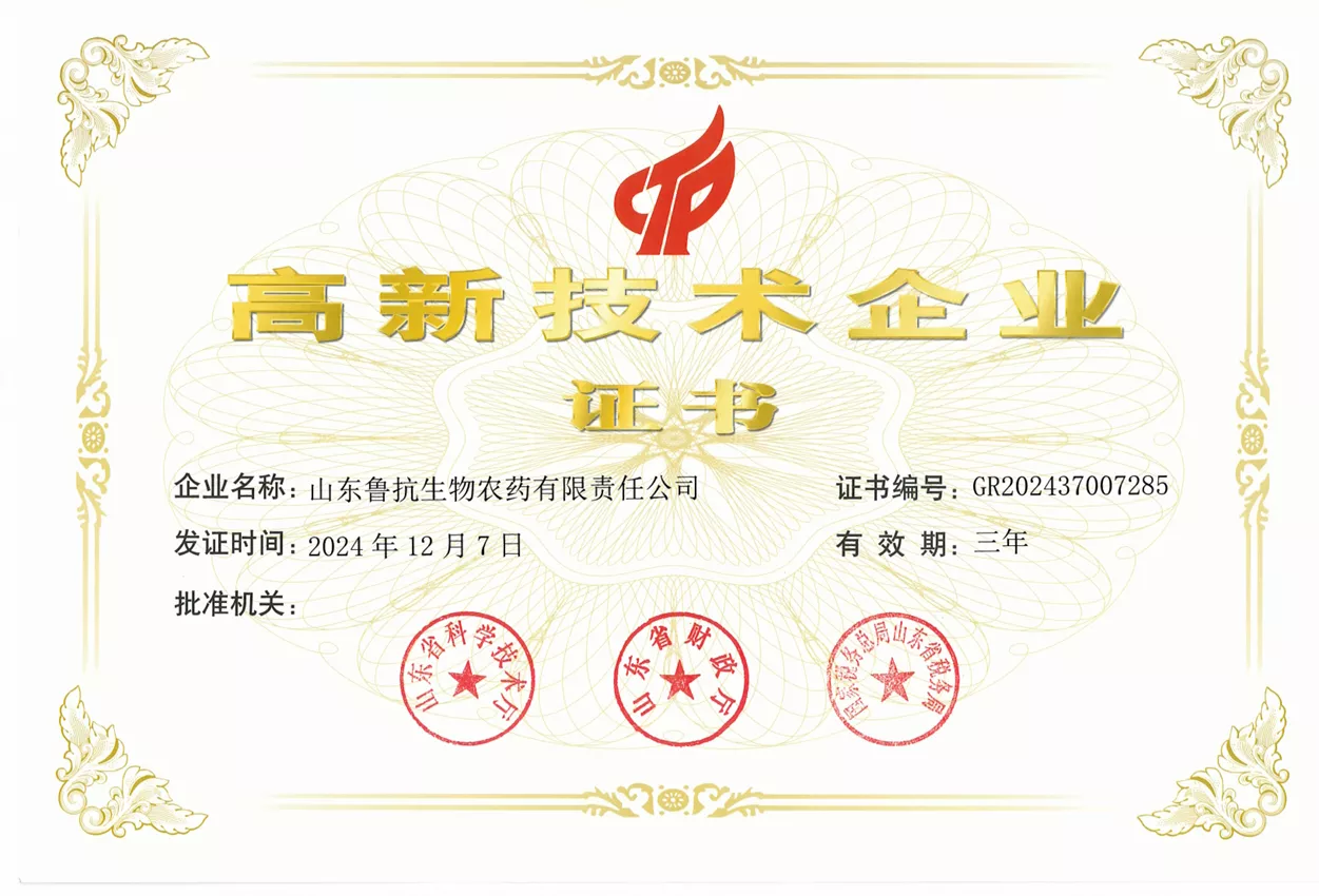 高新技术企业证书